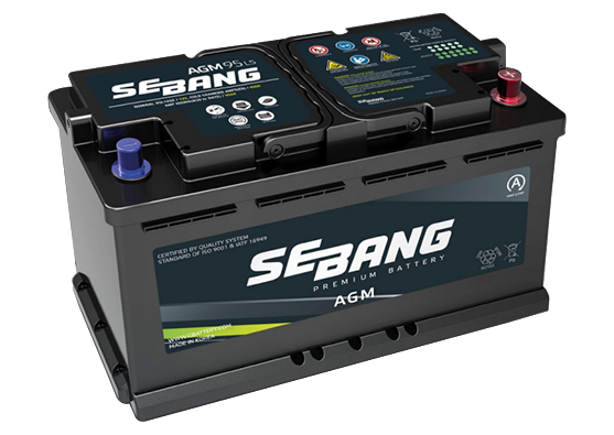 Sebang DIN100 Car Battery